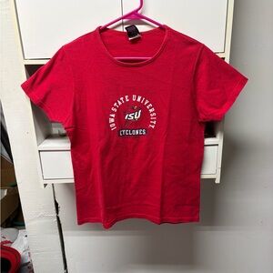 Vintage Iowa state shirt